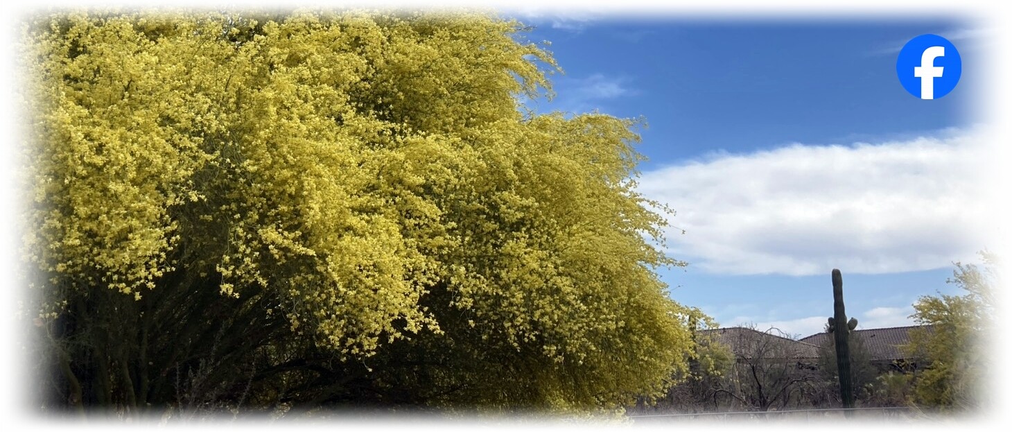 Palo Verde with Facebook Logo